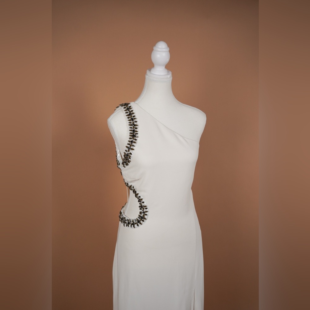 Roberto Cavalli 2016 Gown - Picture 4 of 14